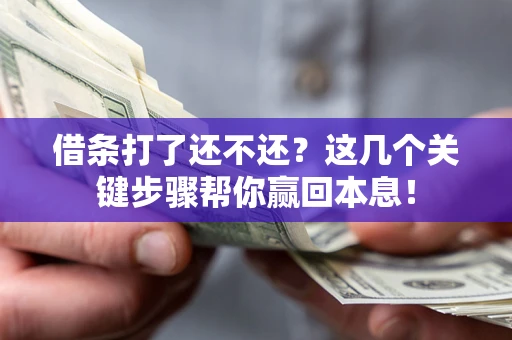 济南借条打了还不还？这几个关键步骤帮你赢回本息！