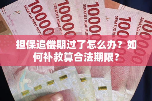 济南担保追偿期过了怎么办？如何补救算合法期限？