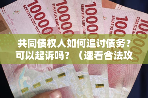 济南共同债权人如何追讨债务？可以起诉吗？（速看合法攻略）